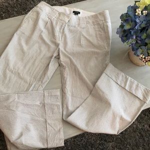 J Crew size 6 City Fit pants